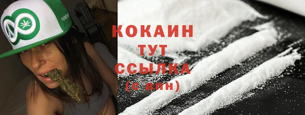 дживик Осташков