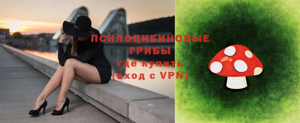 дживик Осташков
