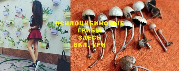 а пвп мука Пересвет
