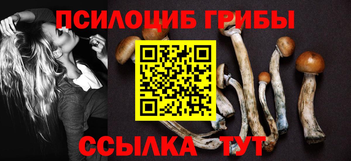 Псилоцибиновые грибы прущие грибы Тара