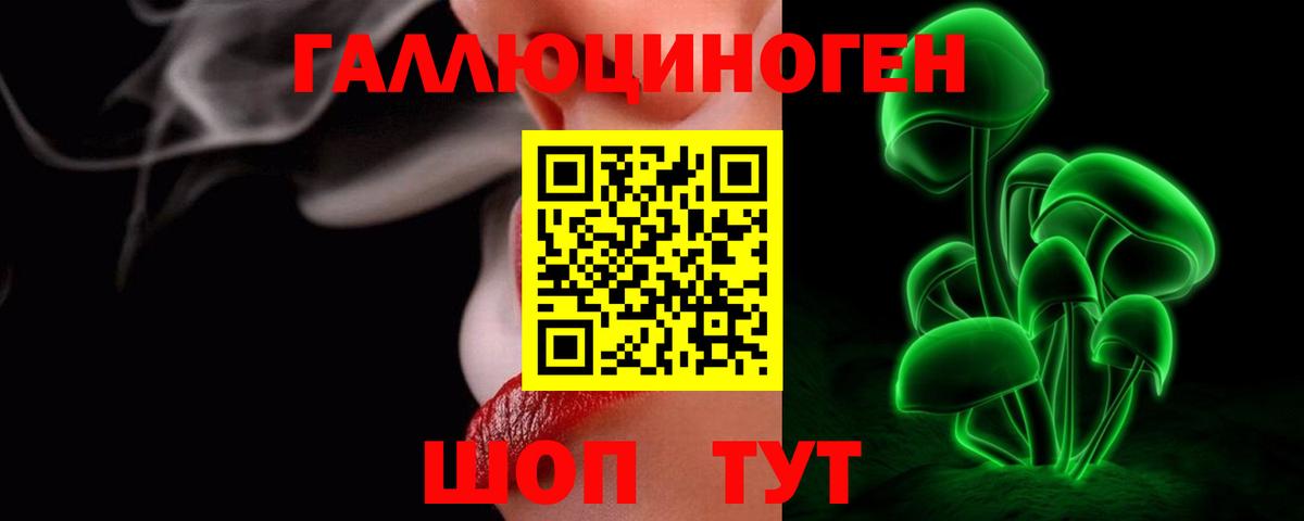 Тара  Псилоцибиновые грибы MAGIC MUSHROOMS  купить наркоту  Вход с VPN 
