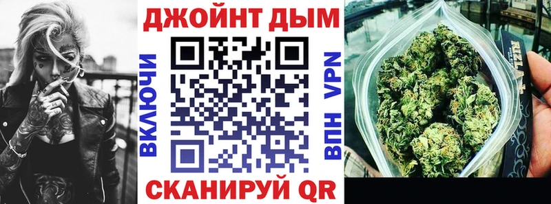 Конопля сатива  Тара 